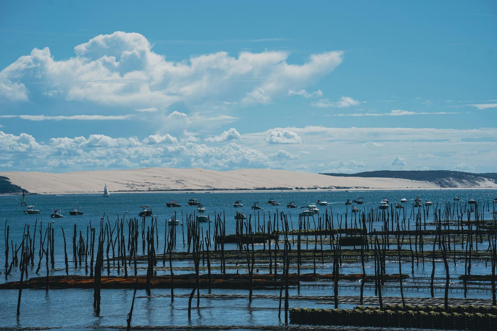 Arcachon, rénovation par LEADEO